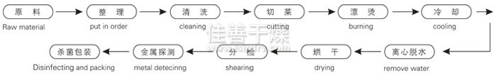 脱水蔬菜带式干燥工艺流程